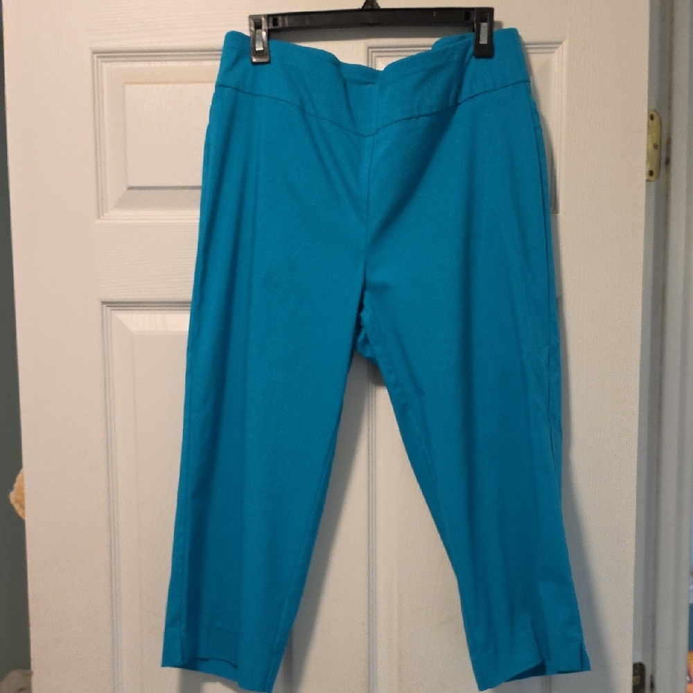 Cropped Teal Stretch Pull-On Pants